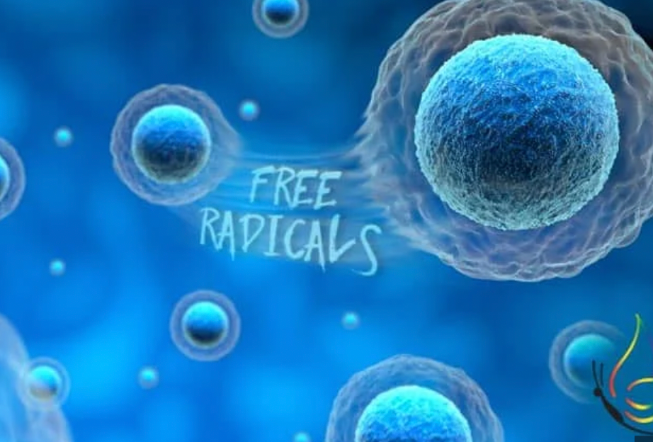 Melchizedek Free Radical Removal