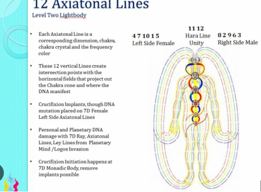 The Reiki Club:  Axiatonal Lines & Dark Technology